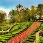 Screenshot_20250917_141456_M365 Copilot