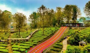 Screenshot_20250917_141456_M365 Copilot