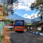 Screenshot_20251002_084710_M365 Copilot