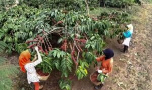 Screenshot_20251106_201547_M365 Copilot