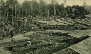 Screenshot_20251107_190929_M365 Copilot