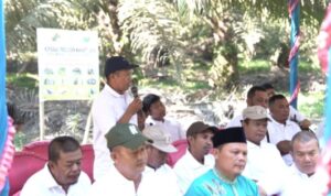 Screenshot_20251112_155241_M365 Copilot