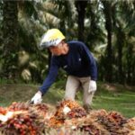 Screenshot_20251114_203823_M365 Copilot