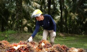 Screenshot_20251114_203823_M365 Copilot