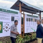 Screenshot_20251114_205139_M365 Copilot