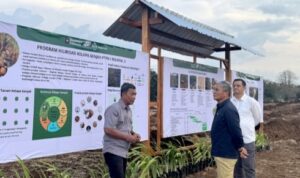 Screenshot_20251114_205139_M365 Copilot