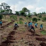 Screenshot_20251230_072131_M365 Copilot