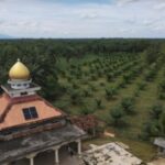 Screenshot_20260114_145059_M365 Copilot