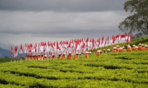 Screenshot_20260114_151516_M365 Copilot