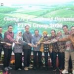 Screenshot_20260213_220428_M365 Copilot