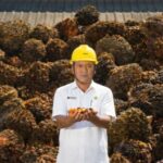 Screenshot_20260220_190238_Word