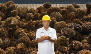 Screenshot_20260220_190238_Word