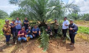 Screenshot_20260220_190713_Word