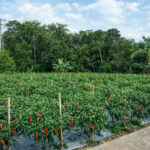 ChatGPT Image Feb 28, 2026, 10_57_48 PM