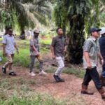 Screenshot_20260408_070321_Word