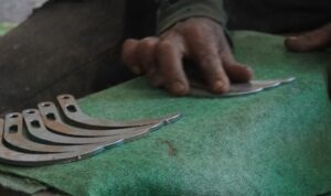 Screenshot_20260416_205926_Word