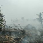 IMG-20260821-WA0478